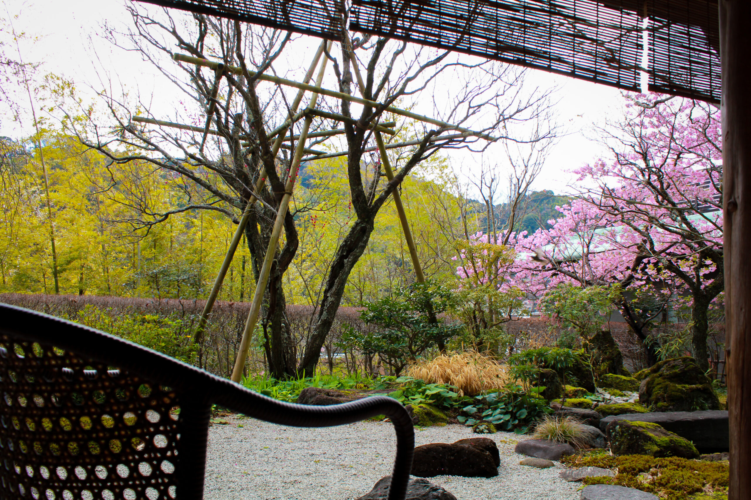 予約数増加+単価の向上を実現(F旅館様)